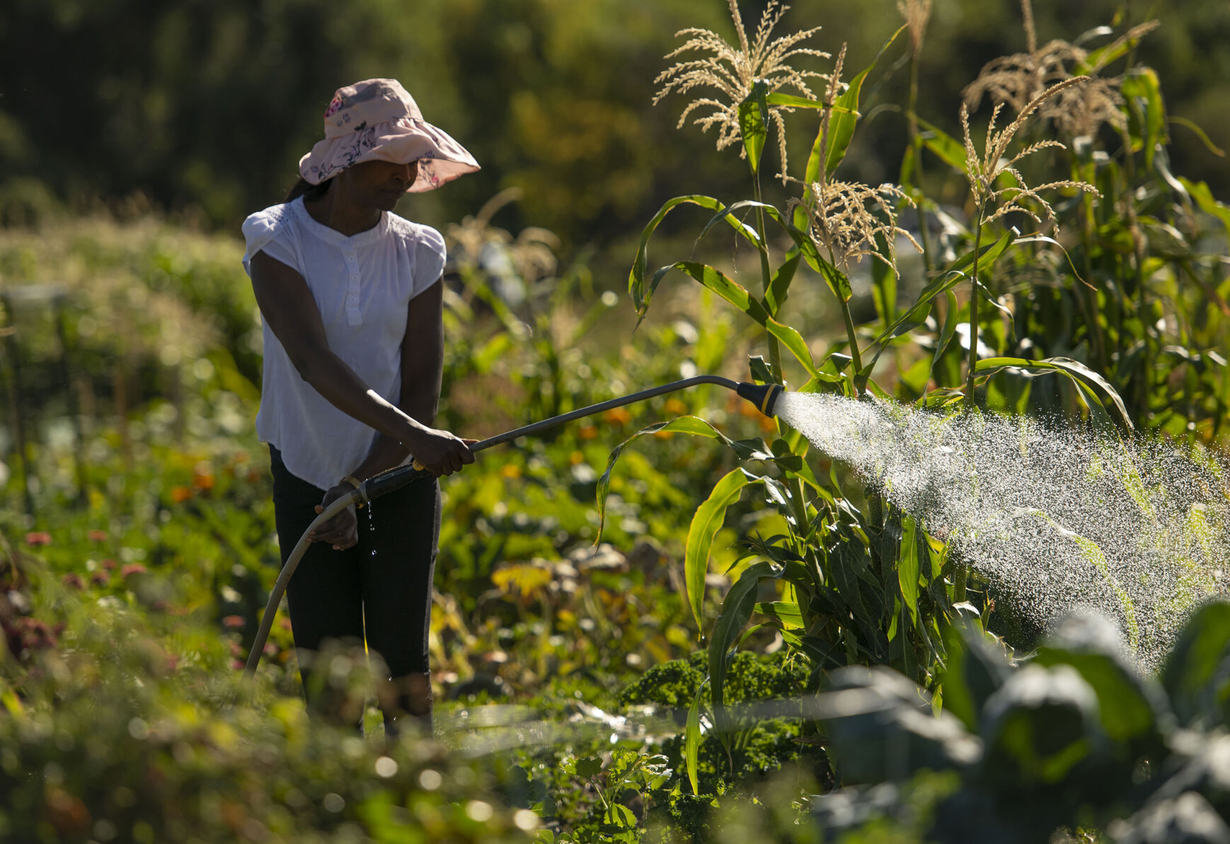 091521-news-ethnic-gardening 05.jpg